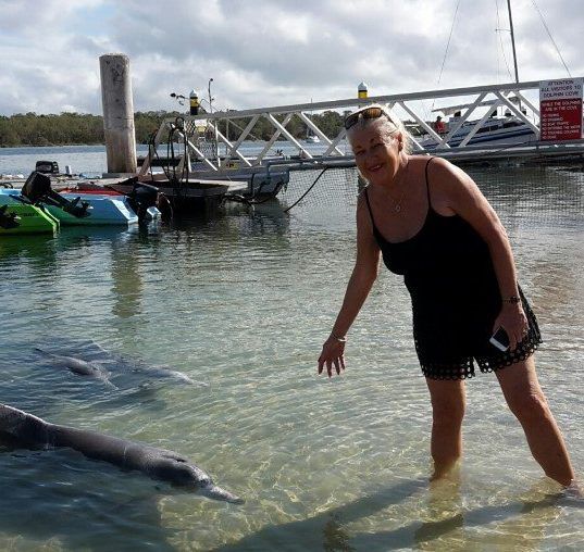 All positive comments from our Dolphin Visitors post image