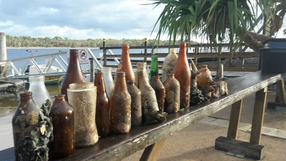 Volunteers still caring for our dolphins post image