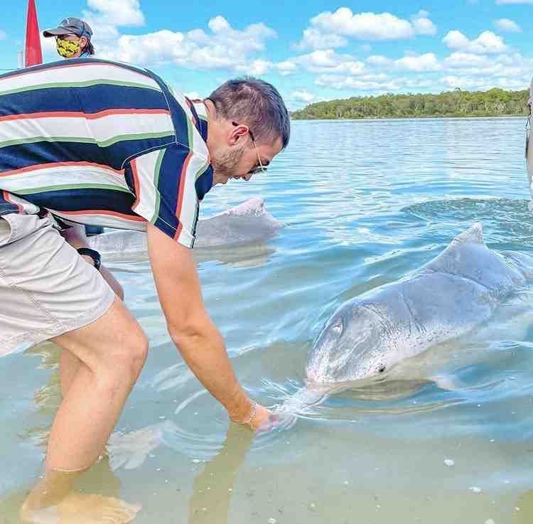 Who is your favourite dolphin? post image