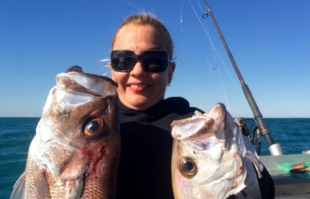 Rainbow Beach fishing report post image