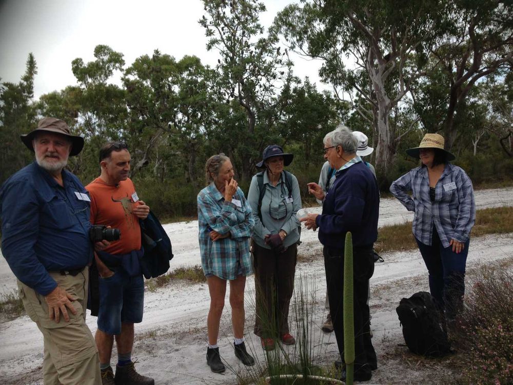 Scientists excited by new Cooloola discoveries post image