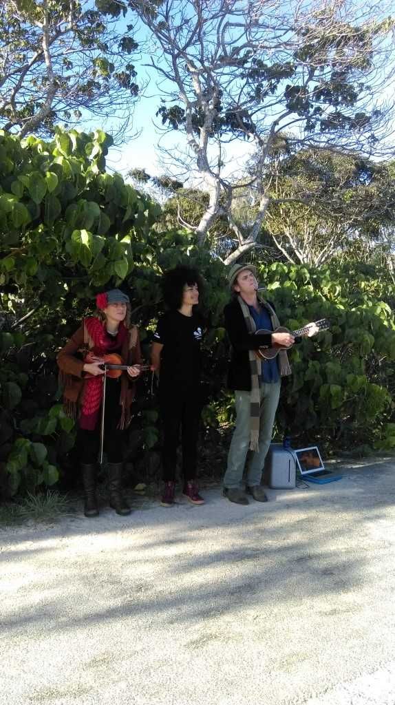 Listen to The Freedom Collective post image