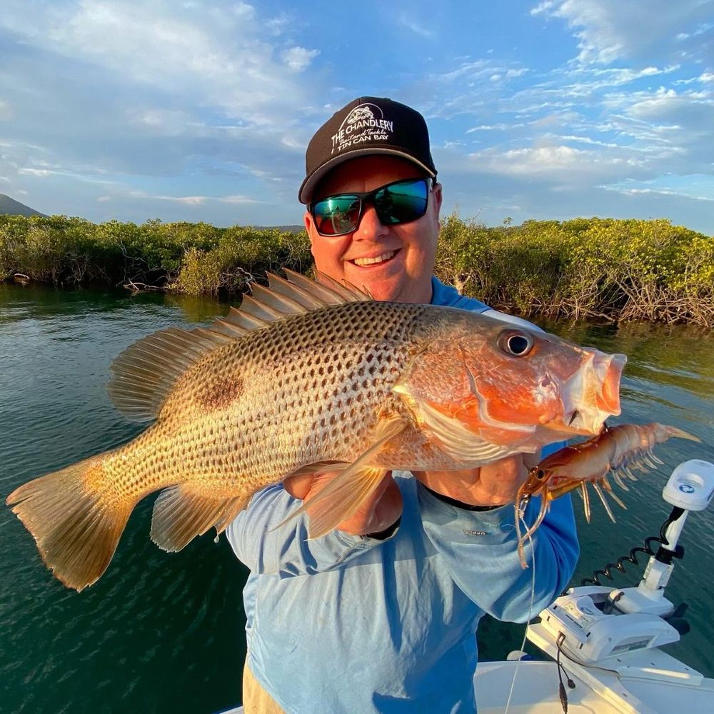 Tin Can Bay Fishing Club News December 2021 post image