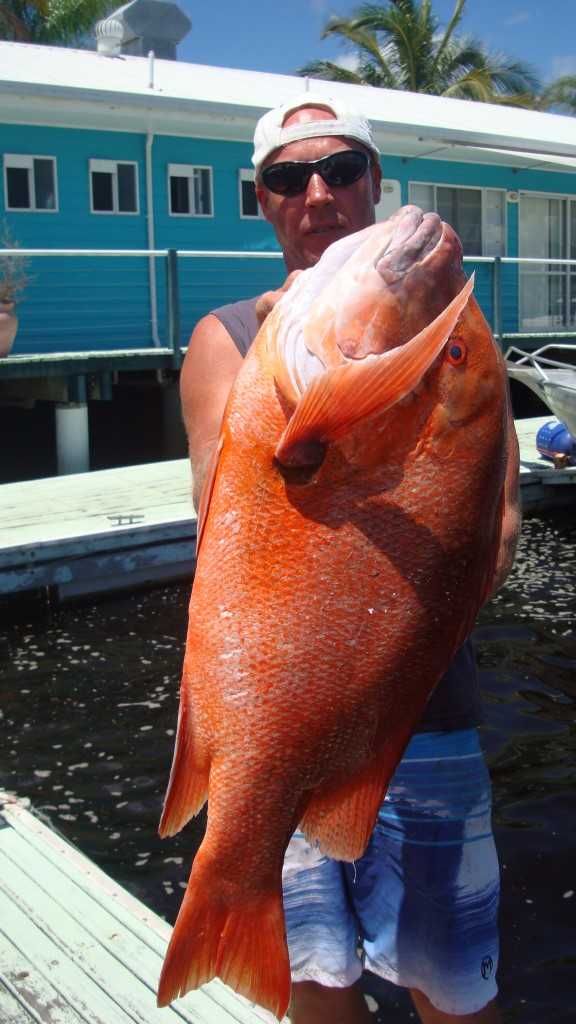 Rainbow Beach fishing report post image