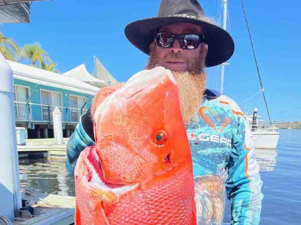 Out on Baitrunner post image