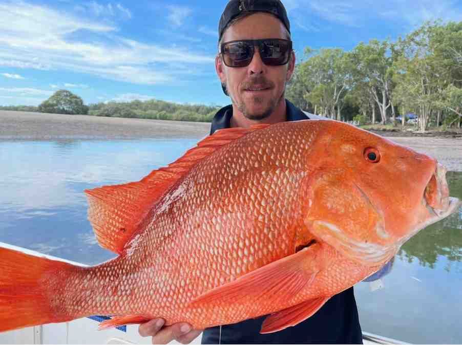 Out on Baitrunner post image