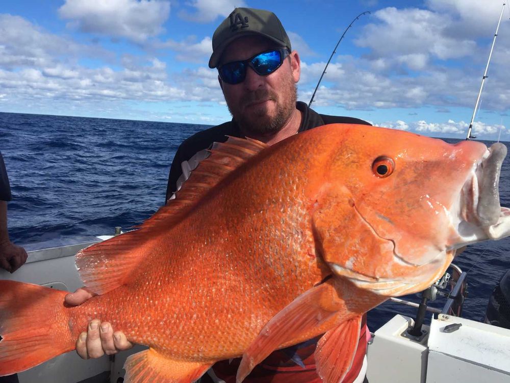 Rainbow Beach Fishing Charters Report post image
