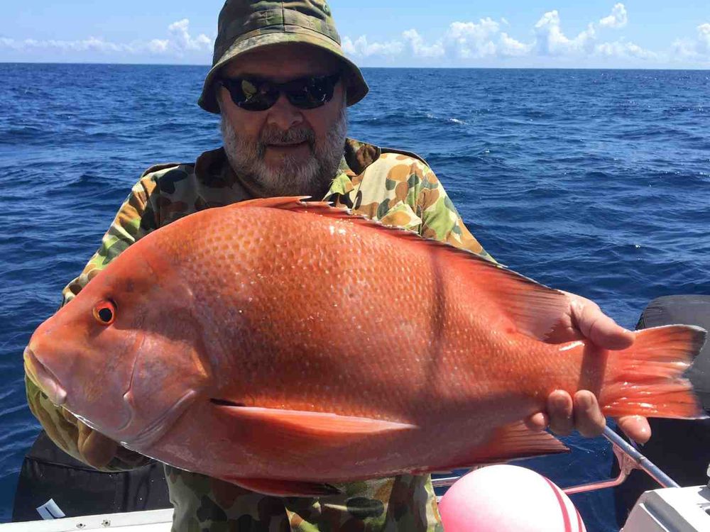 Rainbow Beach Baitrunner Fishing Report October 2020 post image