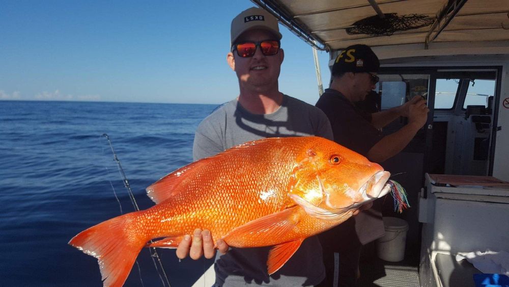 Too busy to chat - fish are biting! post image