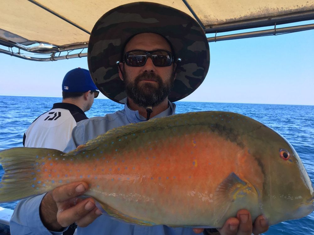 Quality catches post image