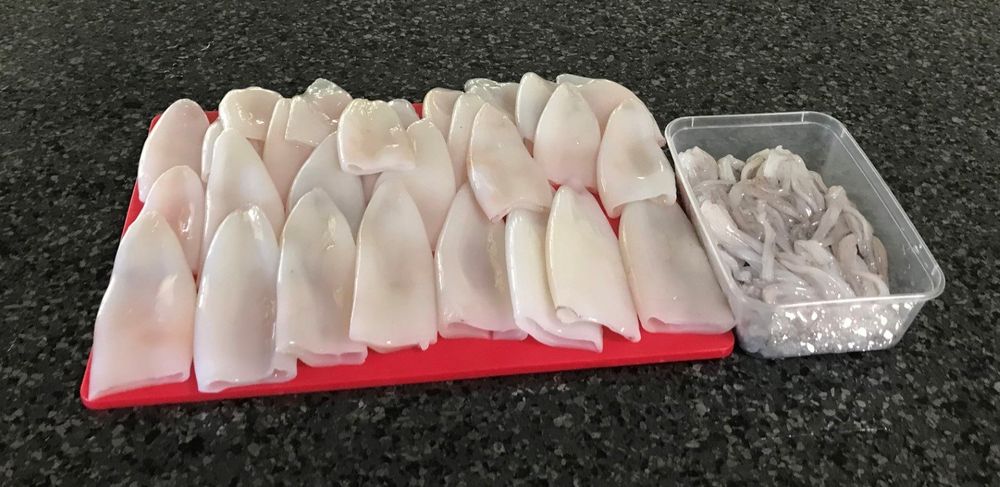 Tin Can Bay Fishing Club Report June 2020 post image