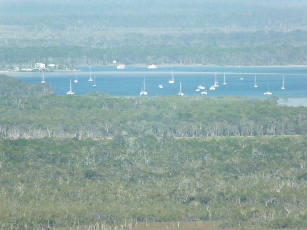 Fishing report – Tin Can Bay post image