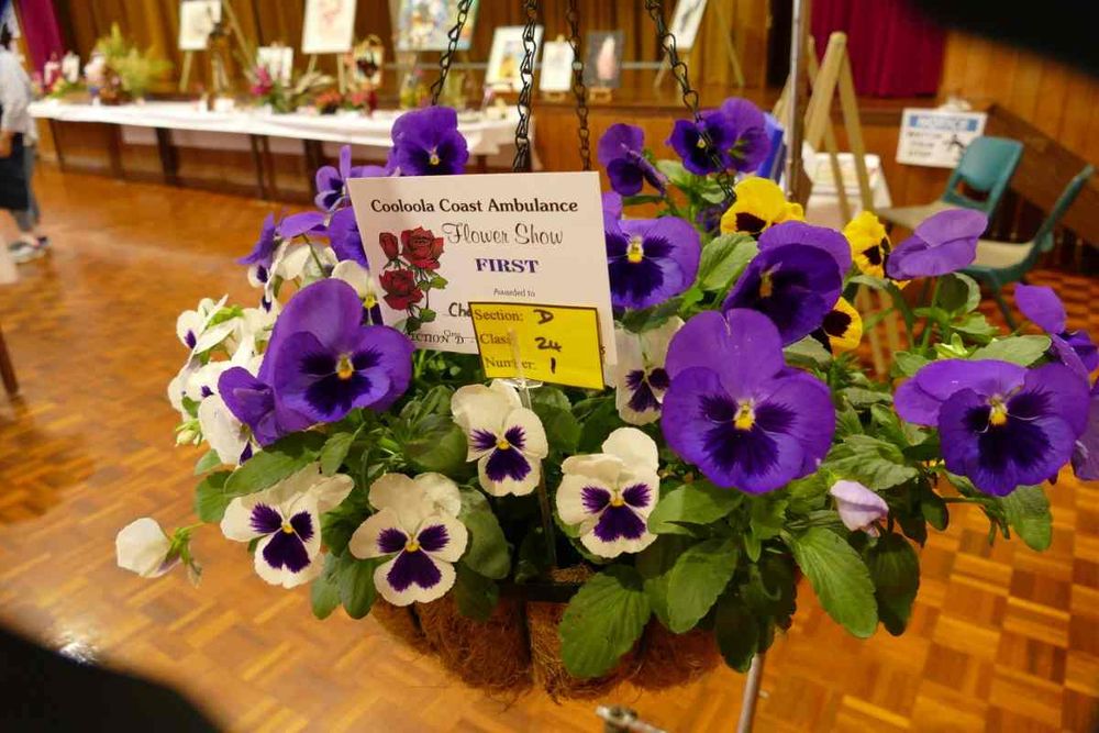 Spring into action and get ready for the Flower Show post image