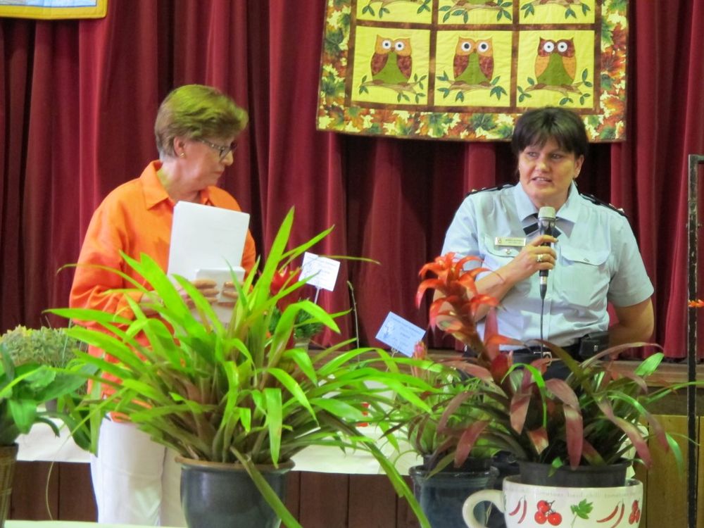 Get ready for the 2013 Flower Show - New Competitions and Awards post image