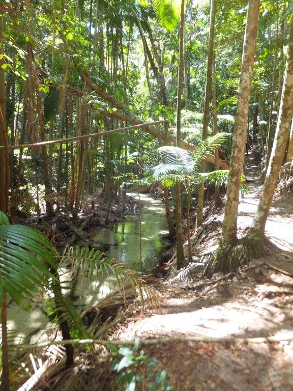 Native title rights recognised on Fraser Island post image