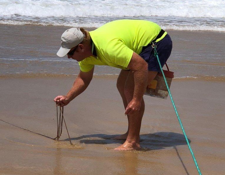 Whiting Competition brings prizes! post image