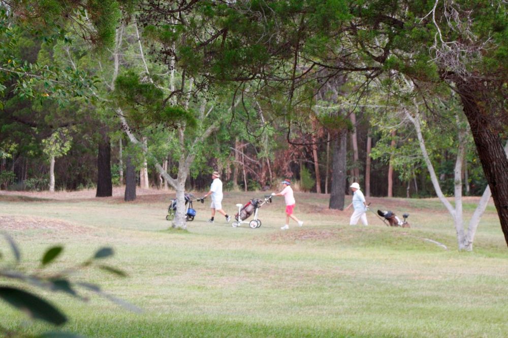 A summer of golf post image