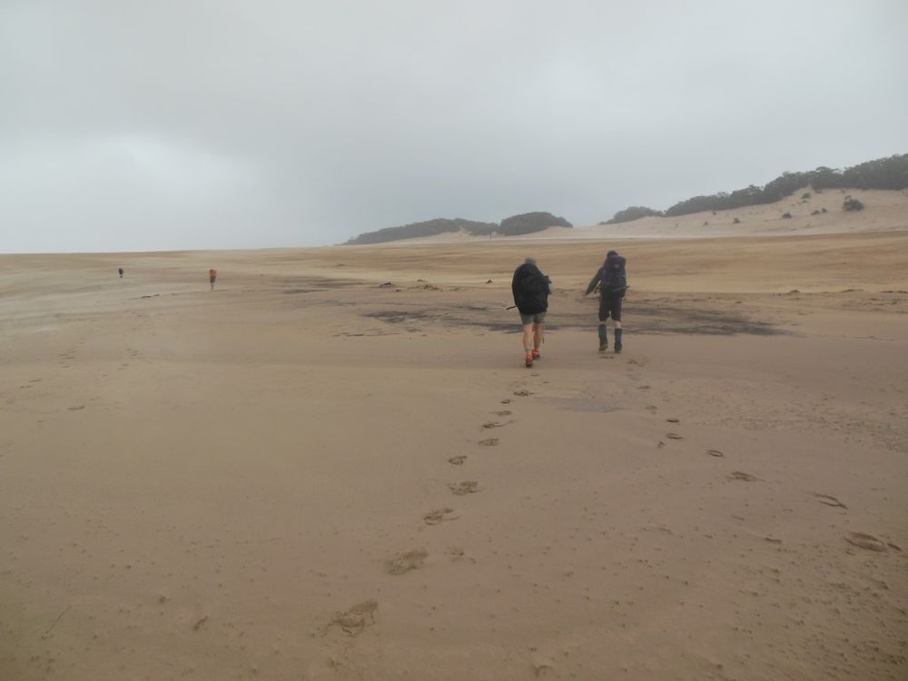 The ups and downs of a Cooloola Great Walk adventure post image