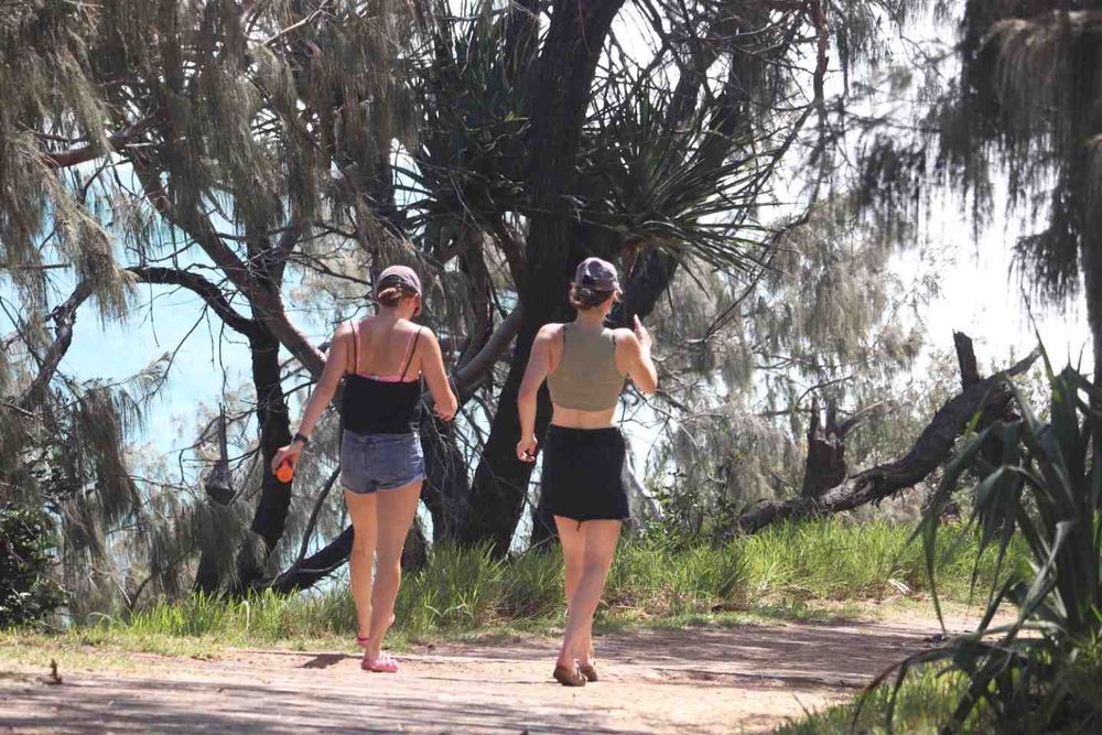 Walking is a “wonder drug” post image