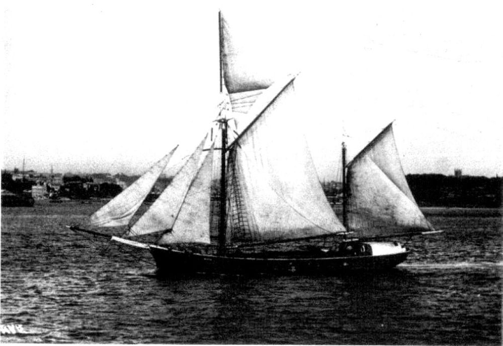 Historical Cooloola - The Florence Peat post image