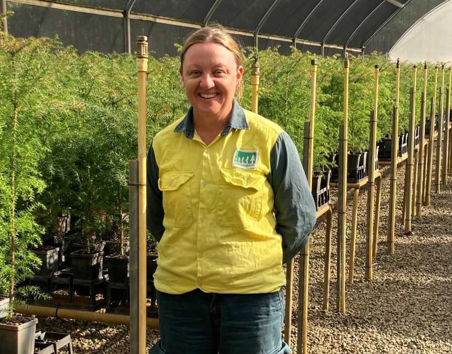 Toolara Trees Safe With Leisa post image