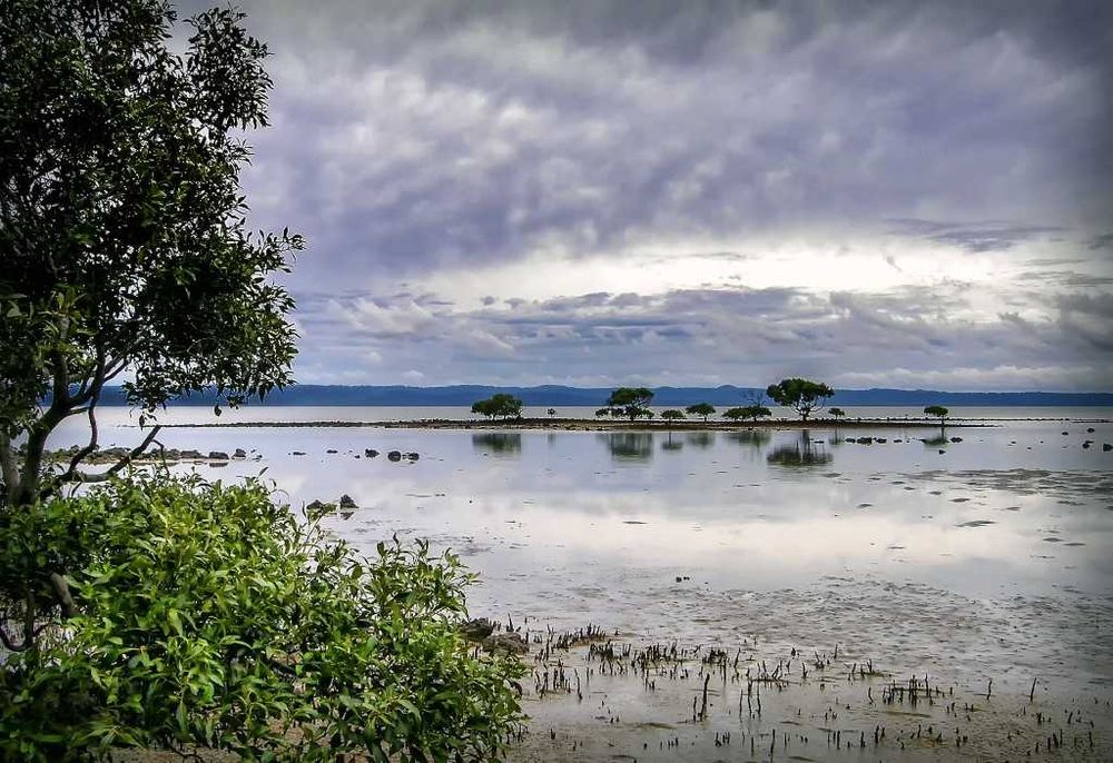 Do you value the Great Sandy Straits? post image