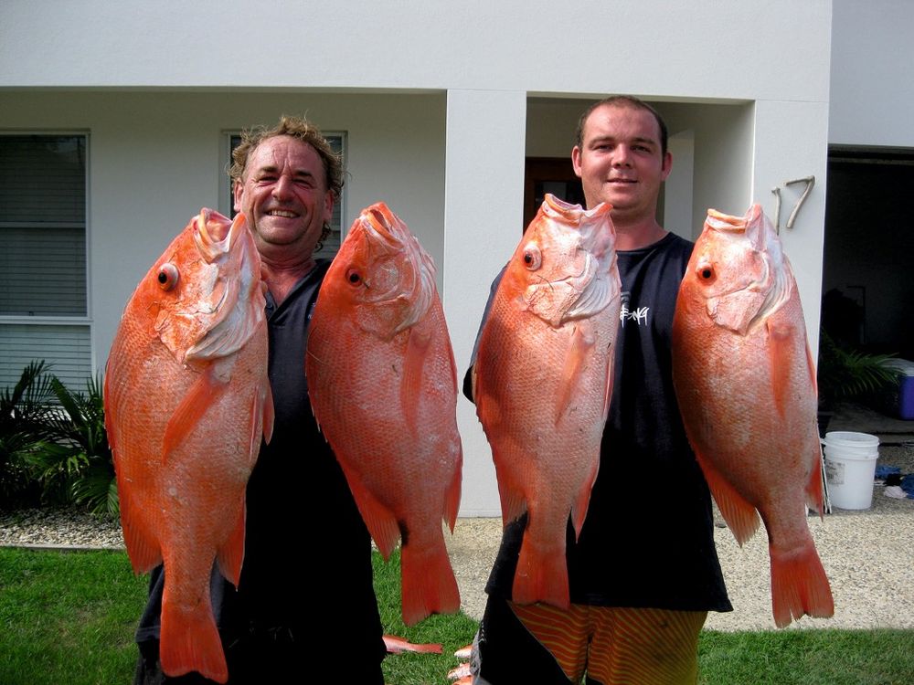 Fishing Report Tin Can Bay post image
