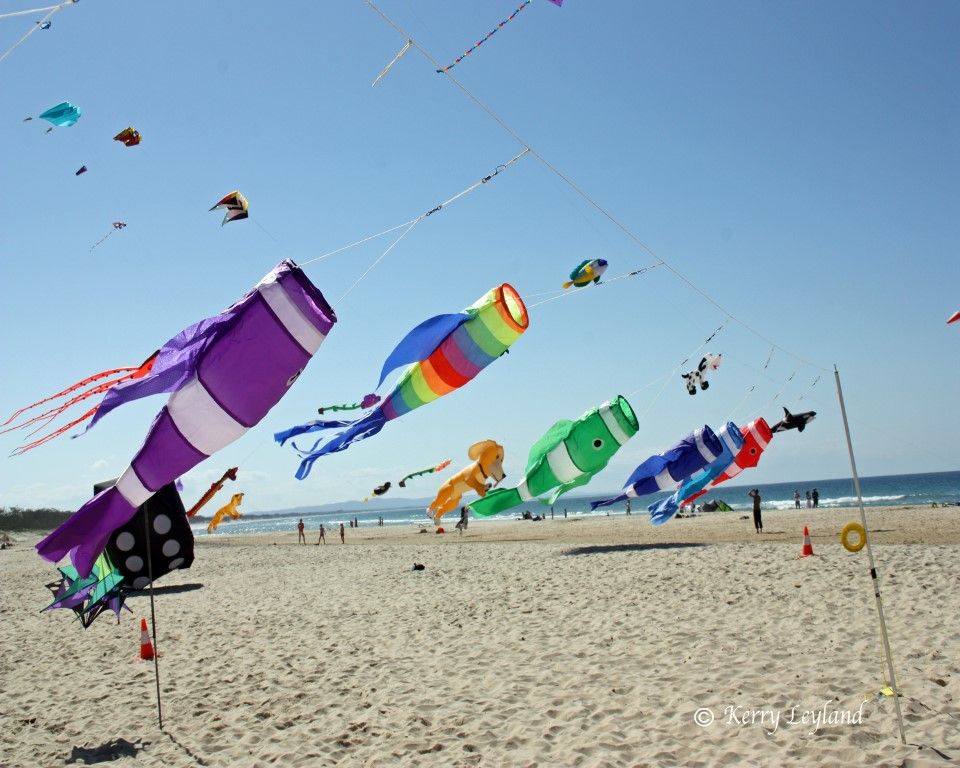 Rainbow Beach Lion’s Club Annual Kite festival hits the skies post image