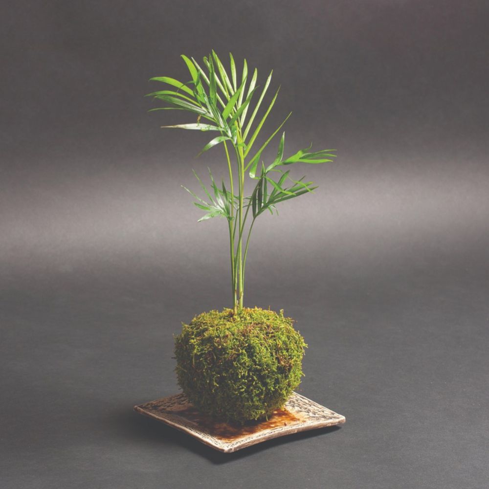 More happening at your local library in September post image