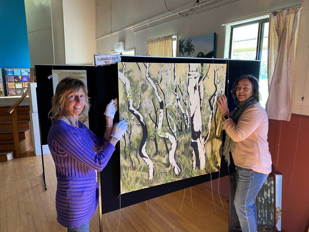 Mary Valley Art Festival breaking records post image