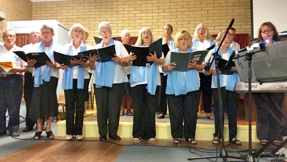 Music Plus now in recess post image