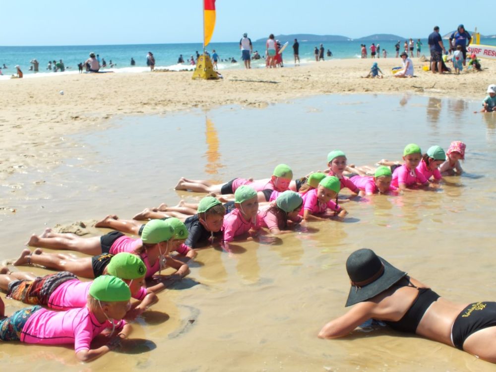 Warriors Swim Club News post image