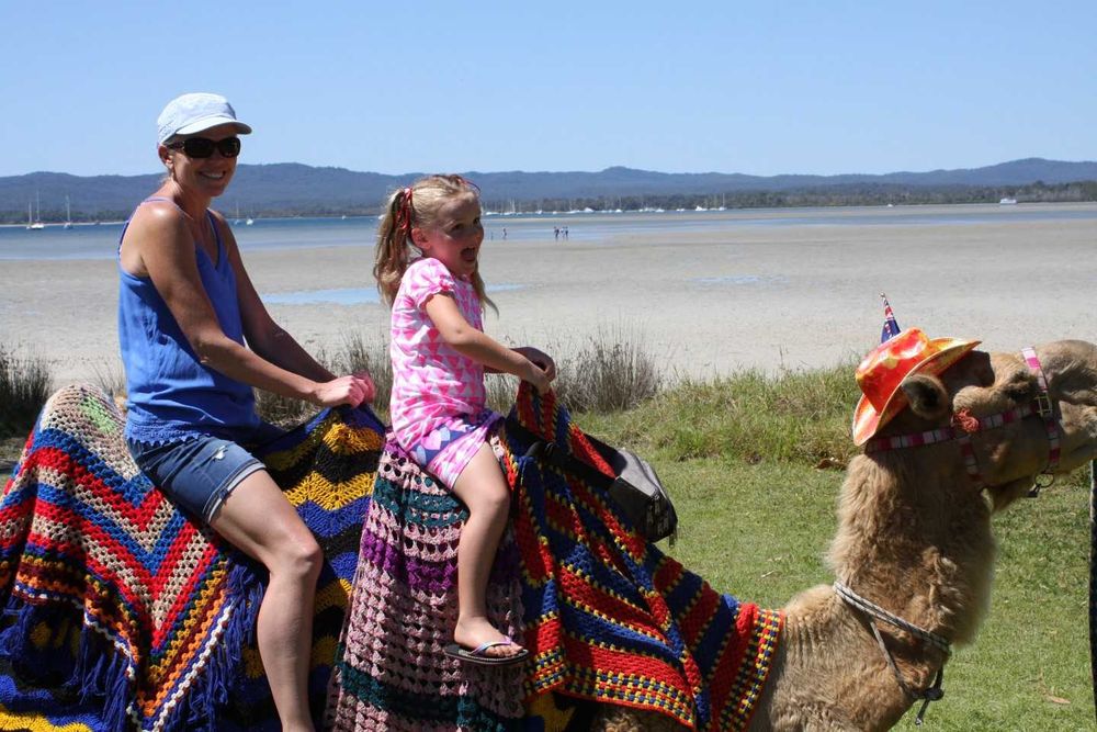 Tin Can Bay Seafood Festival will be better than ever post image