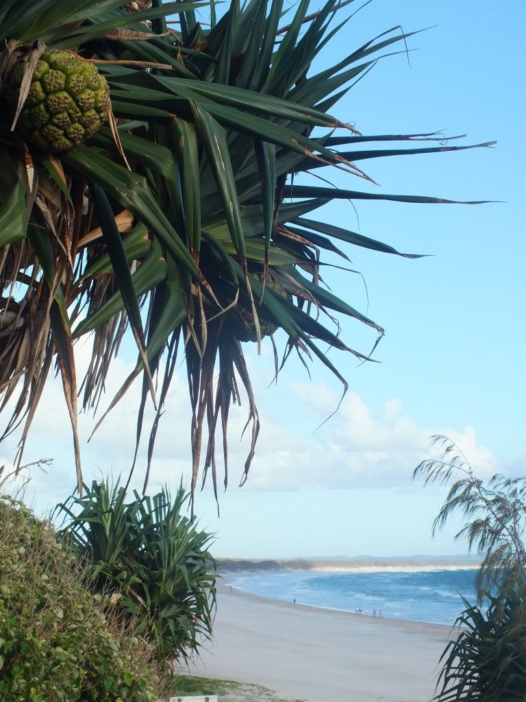 "There are still bargains to be found" post image