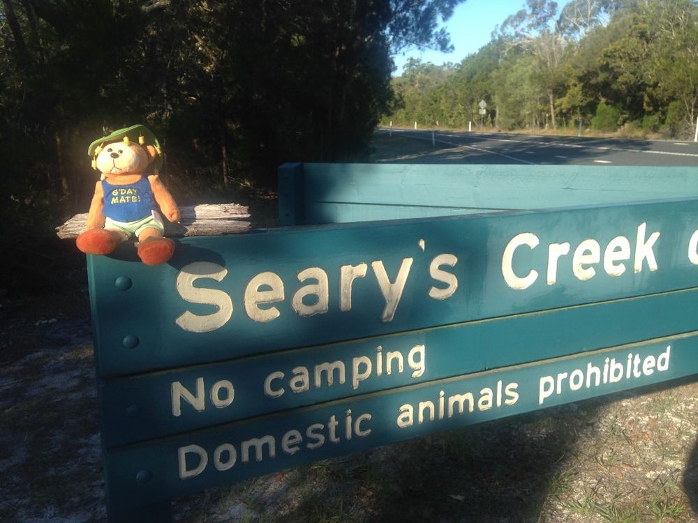 Aussie Bear starts his adventures in Rainbow Beach post image