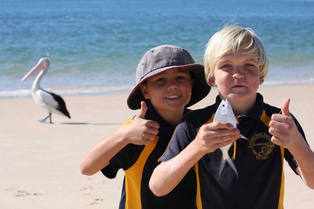 How many schools go fishing for a day? post image