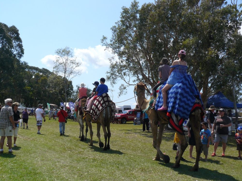 Mullet throwing, prawn eating, sandcastle making fun at the Tin Can Bay Seafood Festival post image