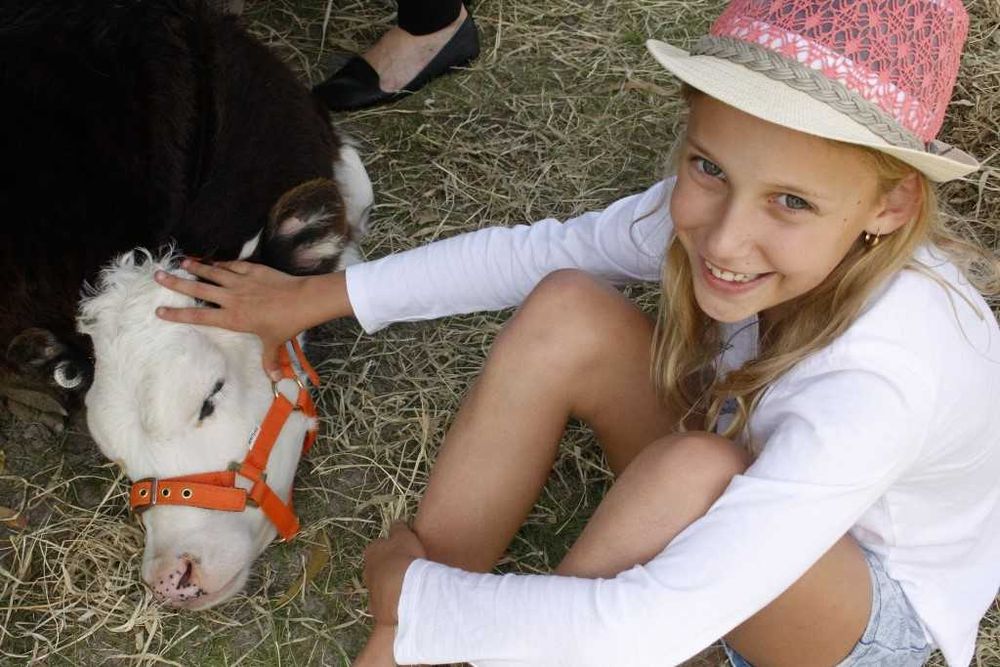 Spring has sprung, come celebrate…. post image