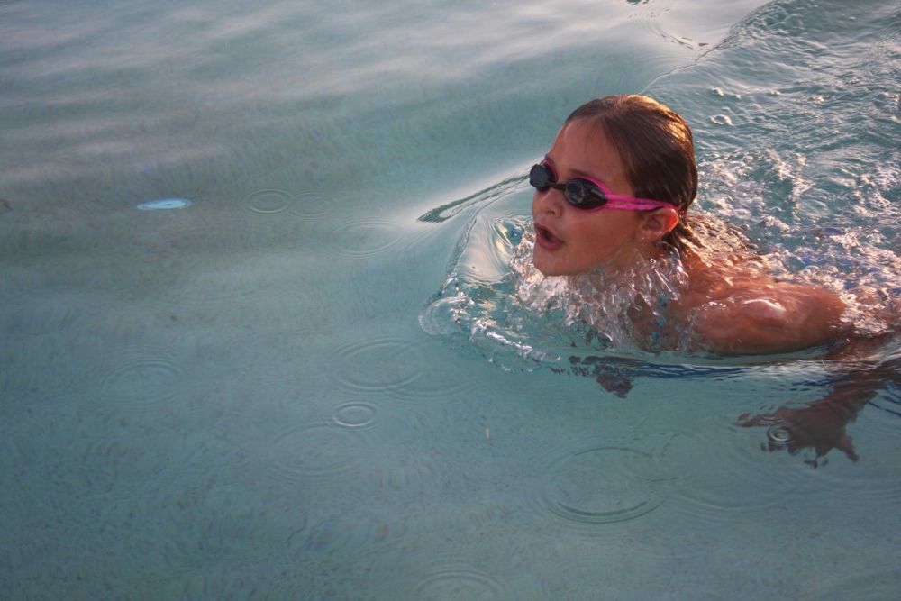 Swim Club hosts Wide Bay meet post image
