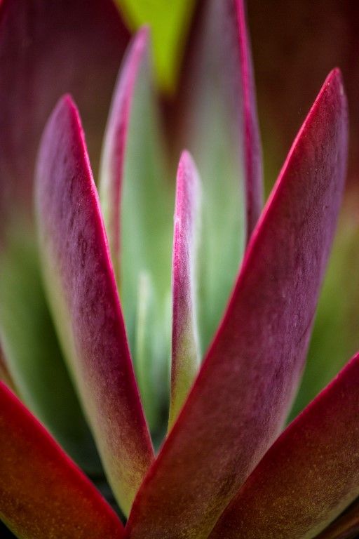 Camera Club News post image