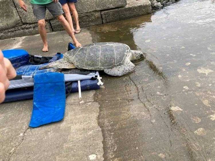 Safe Travels Thomas! post image