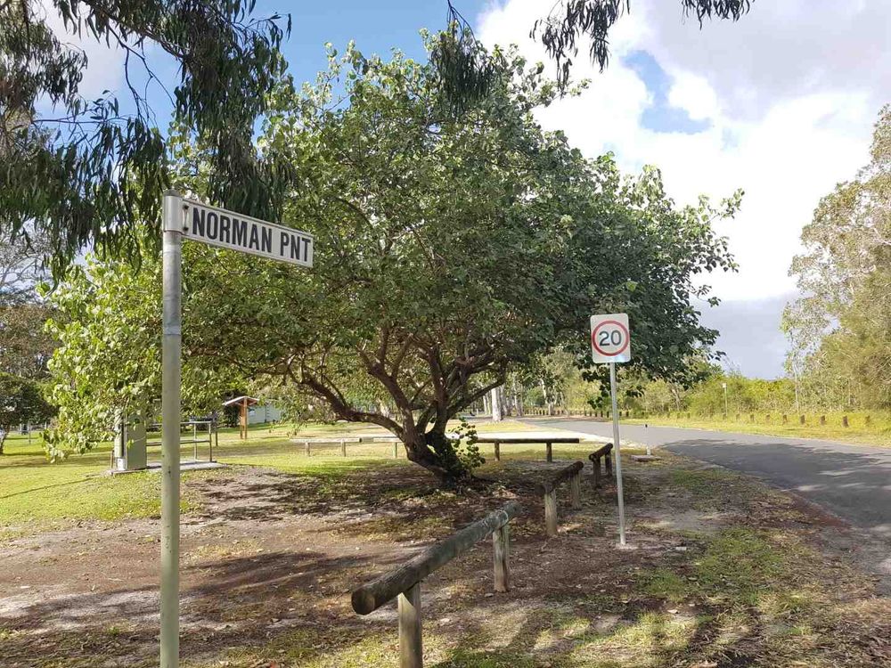 What’s new in Tin Can Bay? post image