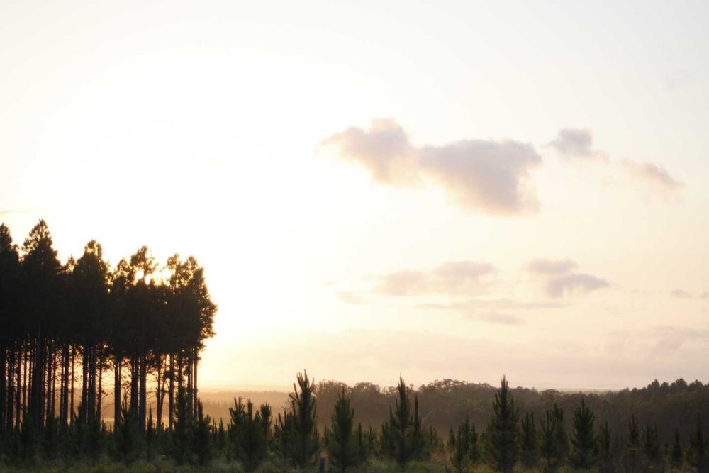 Drop in to the Rural and Rural Residential Values Survey tomorrow at Gympie Library post image