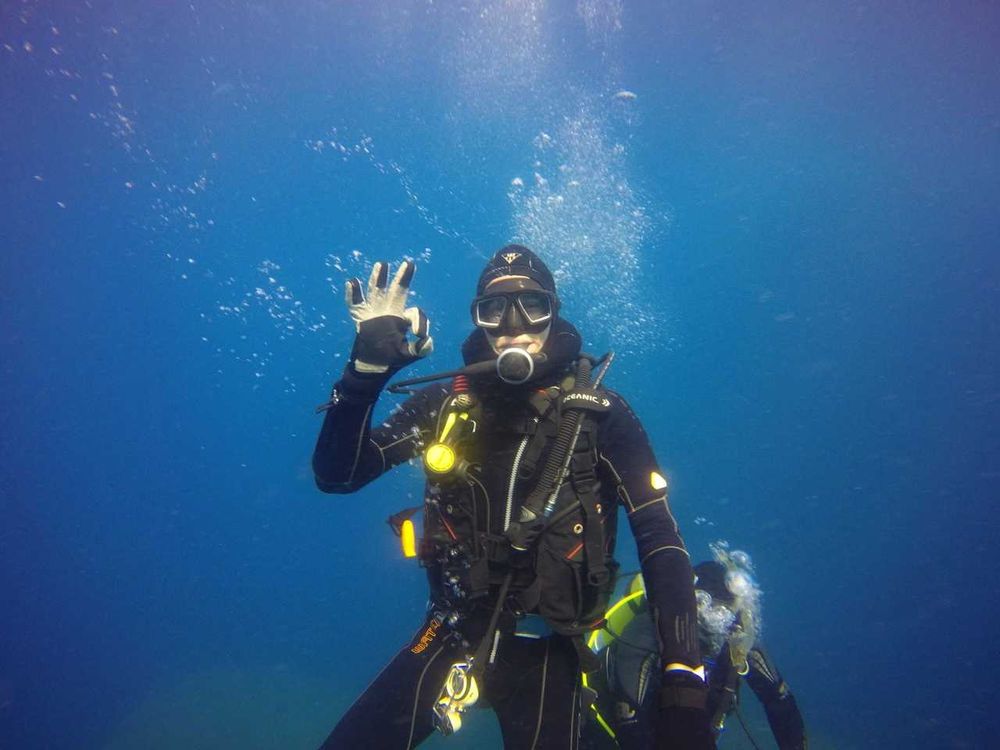 Dive into April post image