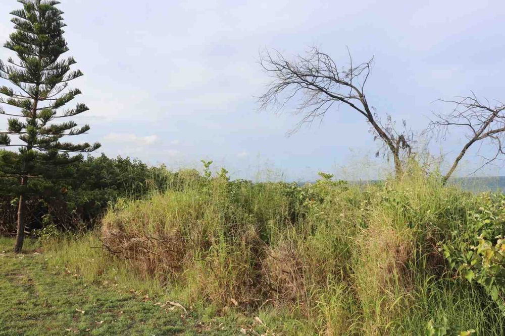 Tourism Bites February 2021 post image