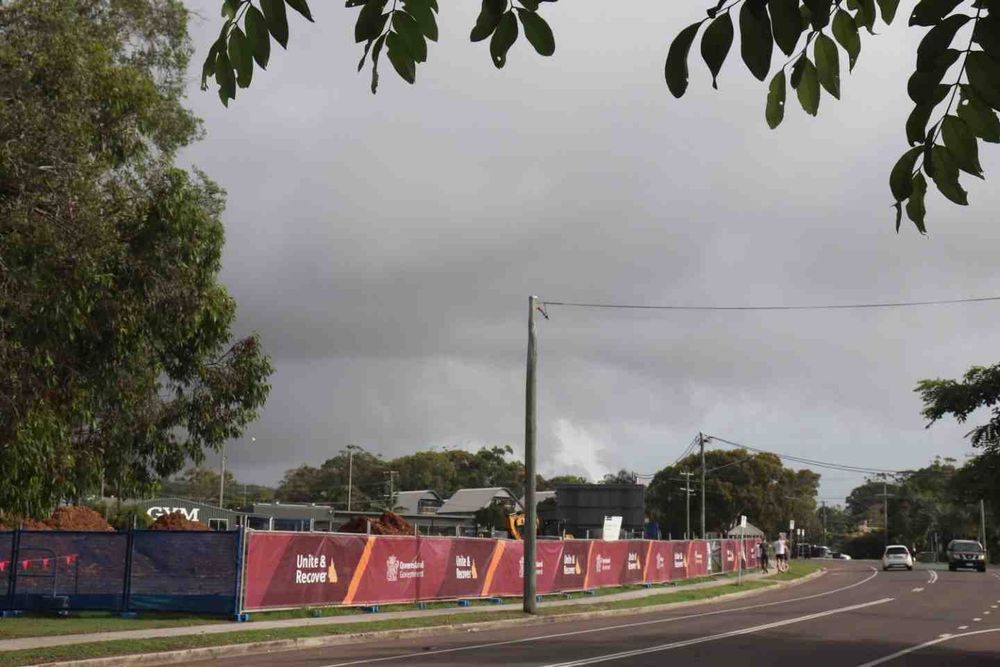 Why did they remove so many trees? post image