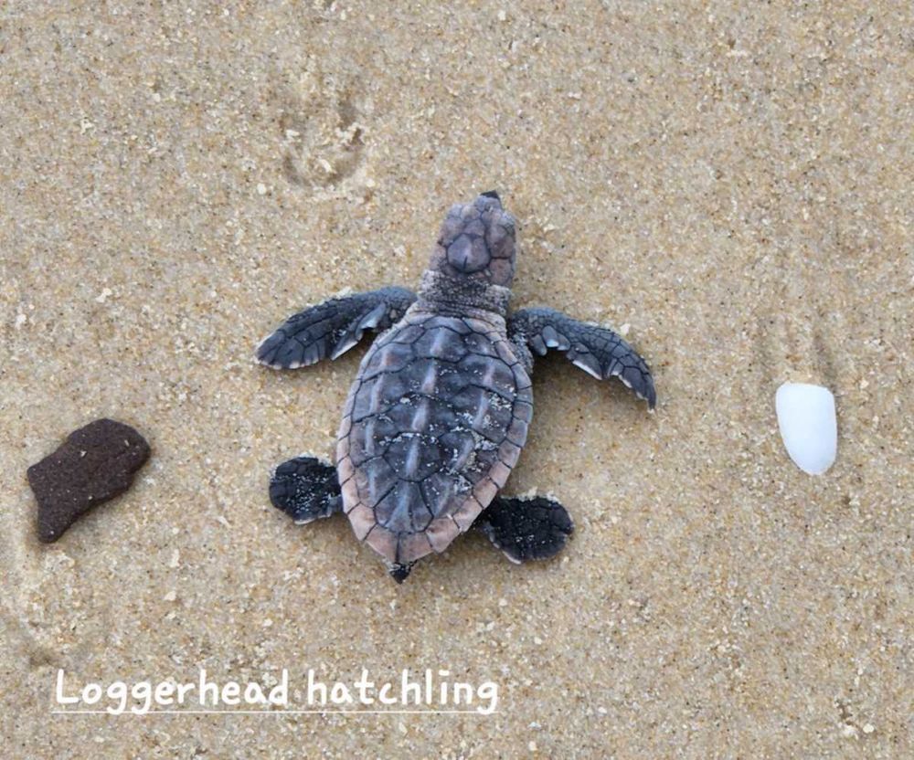 End of the Season post image