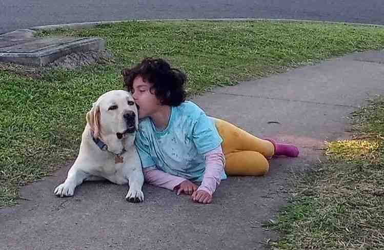 Disability friendly post image