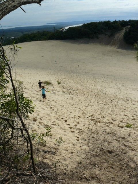 Speak up to protect your Cooloola Great Walk post image