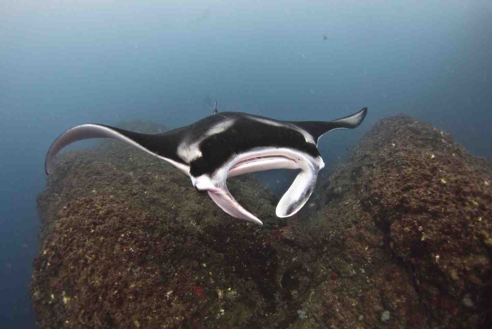 Staycationing Underwater post image